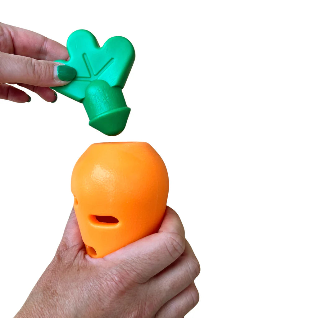 Rubber Carrot Treat Dispenser